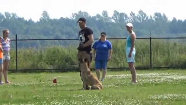 Fortuna iz Gratsiano (Auzzy Ostraryka x Mecberger Lulu) смотреть онлайн