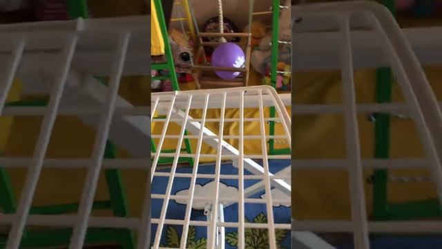 Сушилка для белья фирмы gimi Zaffiro через 4 года ! ‘Обзоры по Честному ‘ смотреть онлайн