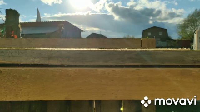 Дом для Вульфа. смотреть онлайн