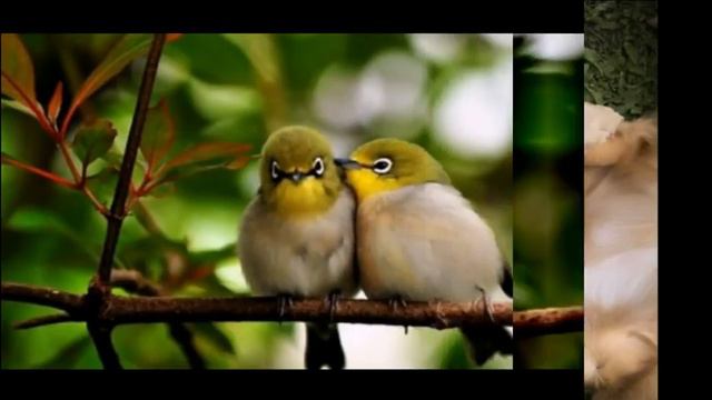 милые обнимашки))) смотреть онлайн