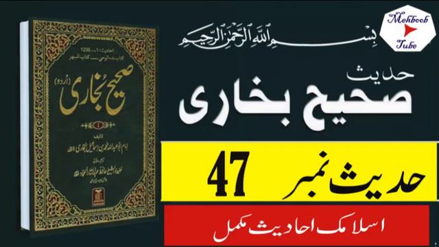 8 Islamic bayan 43 to 50 with Sahih Bukhari | Sahih al Bukhari | best hadees | islam true lines смотреть онлайн