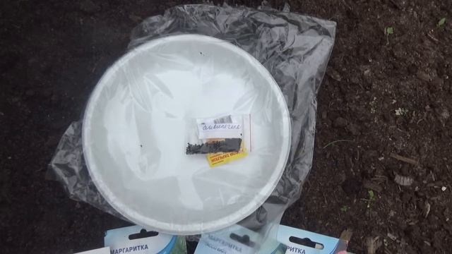 Июль: сеем многолетники новым способом "под тарелку". смотреть онлайн