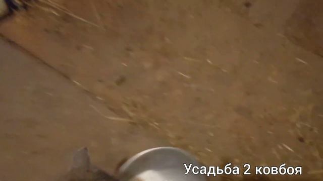 Новые правила содержания  коз.