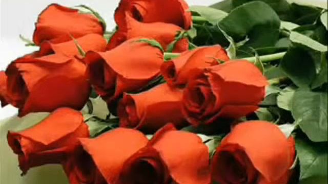 с праздником всех женщин сайта!.wmv смотреть онлайн