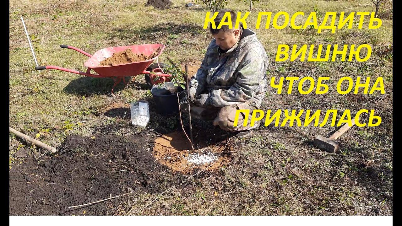 Е.В. о Рыбалке и Кулинарии