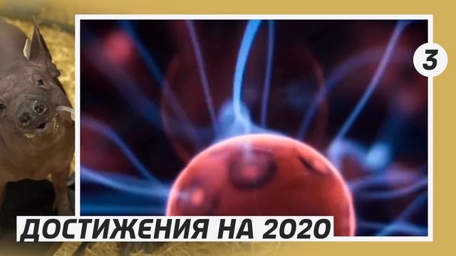 ЧИП В МОЗГ - РЕАЛЬНОСТЬ (NEURALINK)