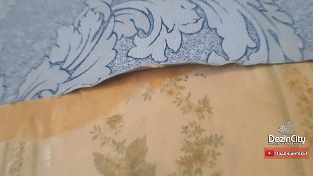 Как правильно бороться с клопами в общежитии: пример эффективного уничтожения смотреть онлайн