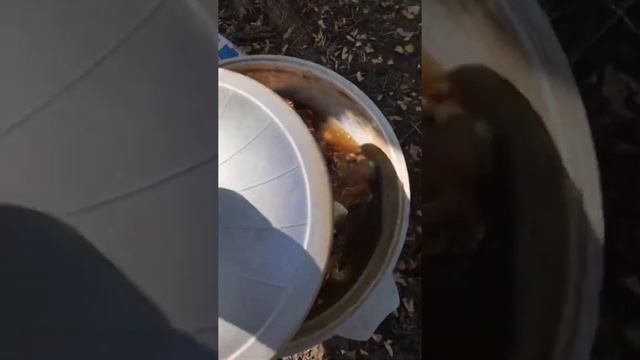 Обед после охоты смотреть онлайн