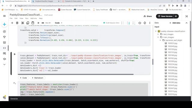 How to create custom image Datasets and Dataloaders in PyTorch for training models #pytorch смотреть онлайн