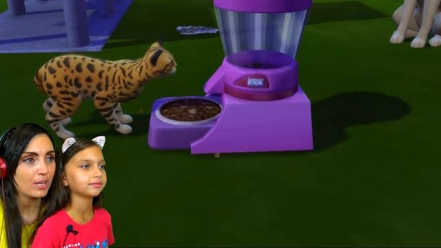 ПЕРВОЕ СВИДАНИЕ Что с ЛЕДИ БАГ? КАМИЛЬ и Аминка НЕ ХОЧЕТ пускать СИМС 4 SIMS 4 Для Детей Валеришка смотреть онлайн