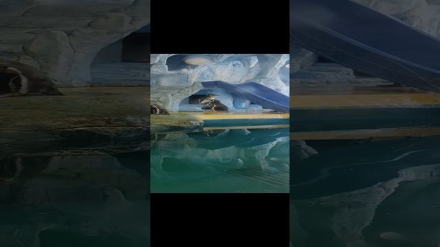 1000001283.mp4 смотреть онлайн