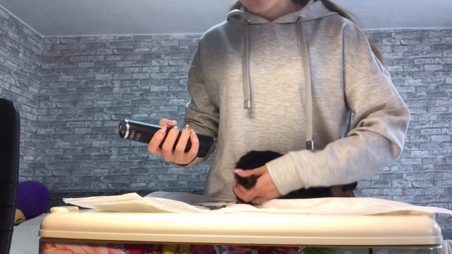 VLOG: щенкам йорка 2 месяца,первая стрижка щенков. Йоркширские терьеры♥️ смотреть онлайн