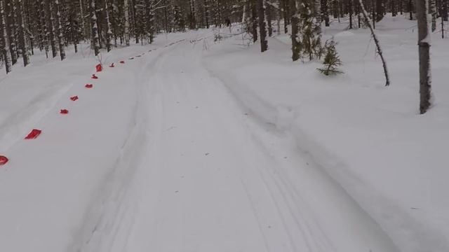 Охота на волка 03 02 21 смотреть онлайн