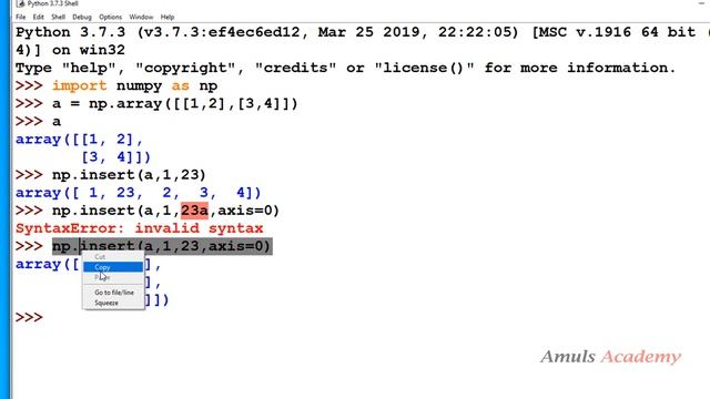 Array Manipulation | Insert and Delete Function | NumPy Tutorials | Python Programming смотреть онлайн
