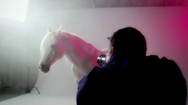 Фотостудия LeicaStudioPhotoProduction – комплекс для профессиональной фото и видеосъёмки