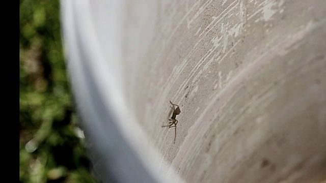 По грибы ч1 смотреть онлайн