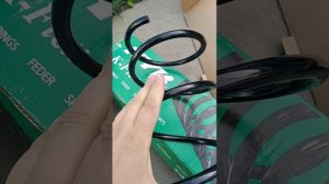 осмотр  пружин Каяба