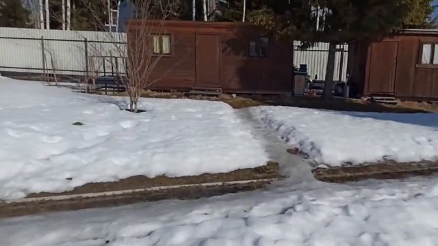 дача.первые цветы крокусы. 9 апреля 2022 год смотреть онлайн