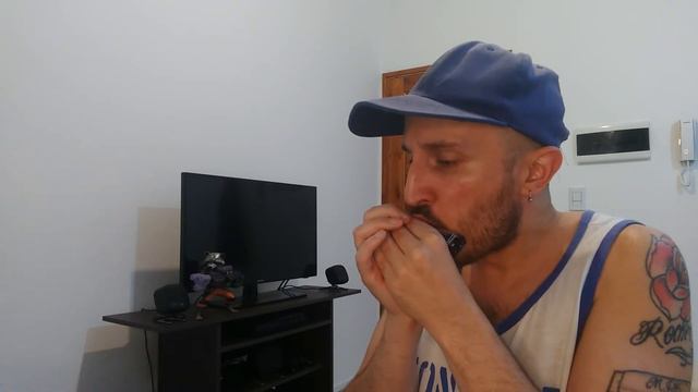 John Ryan’s (polka) on DIATONIC HARMONICA смотреть онлайн