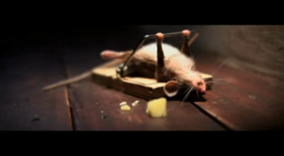  Сырок как надо_)