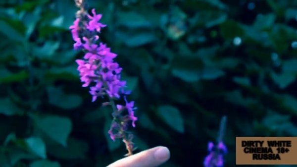 DIRTY WHITE - ВЛЮБИСЬ (для Лены)