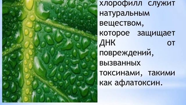 Мастера уборки