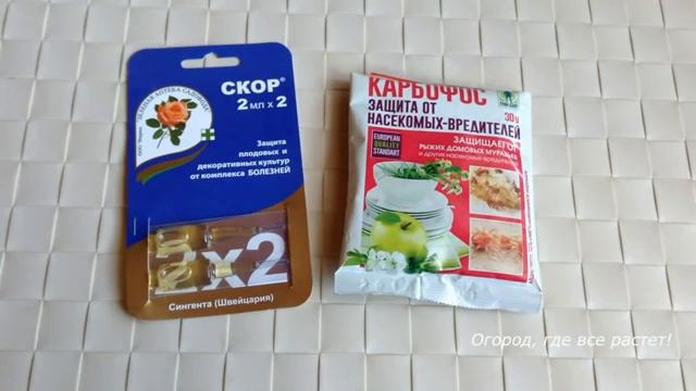 Подробно об уходе за грушей.mp4 смотреть онлайн