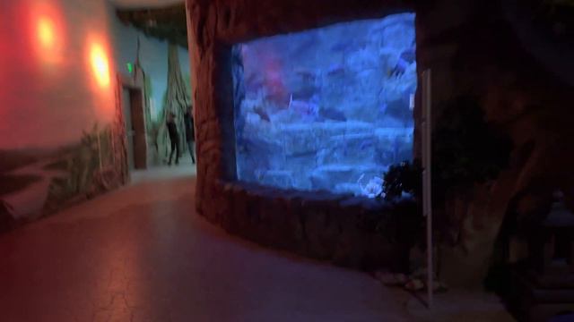 Воронеж 19 декабря 2022