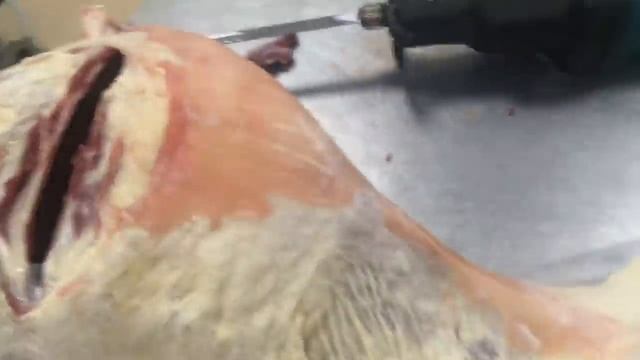 Мясной урожай! смотреть онлайн