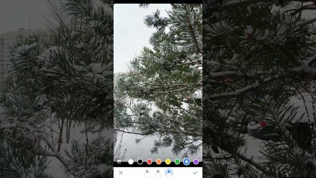 Как в ВКонтакте загрузить сразу несколько историй смотреть онлайн