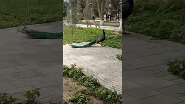 одноклассники:чё он 5 точку не открывает.Учитель:нету настроение хаха😜 смотреть онлайн