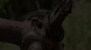 К чему снится черная змея? Приснилась черная змея во сне ? Сонник ? Толкование снов ?