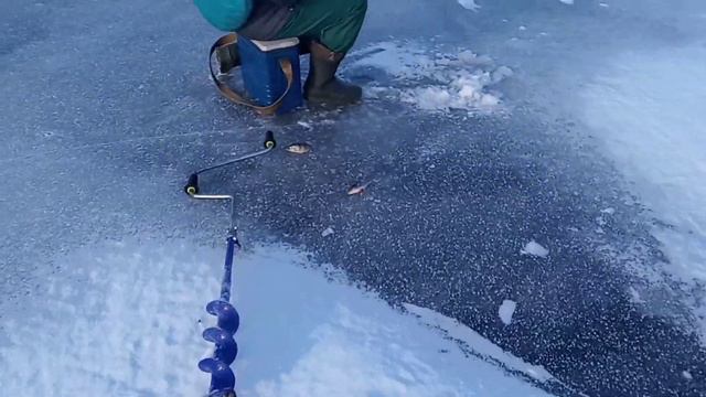 Оскол 2021, проживание и рыбалка смотреть онлайн