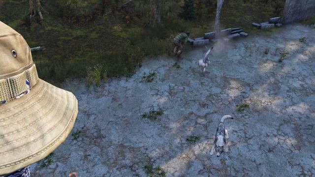 Обзор игры DayZ