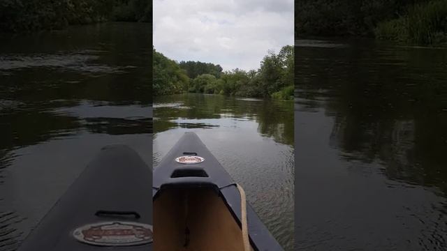 canoe with 2.3hp honda outboard смотреть онлайн