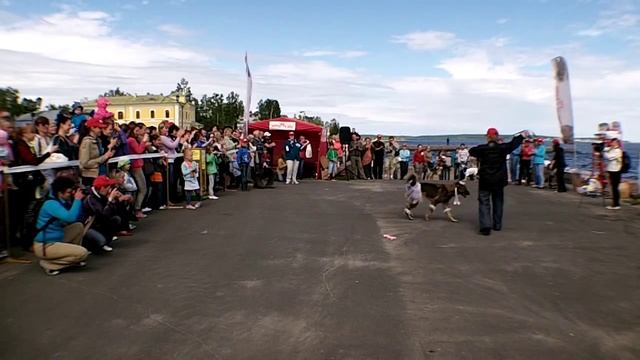 Дворянский титул 2012 смотреть онлайн