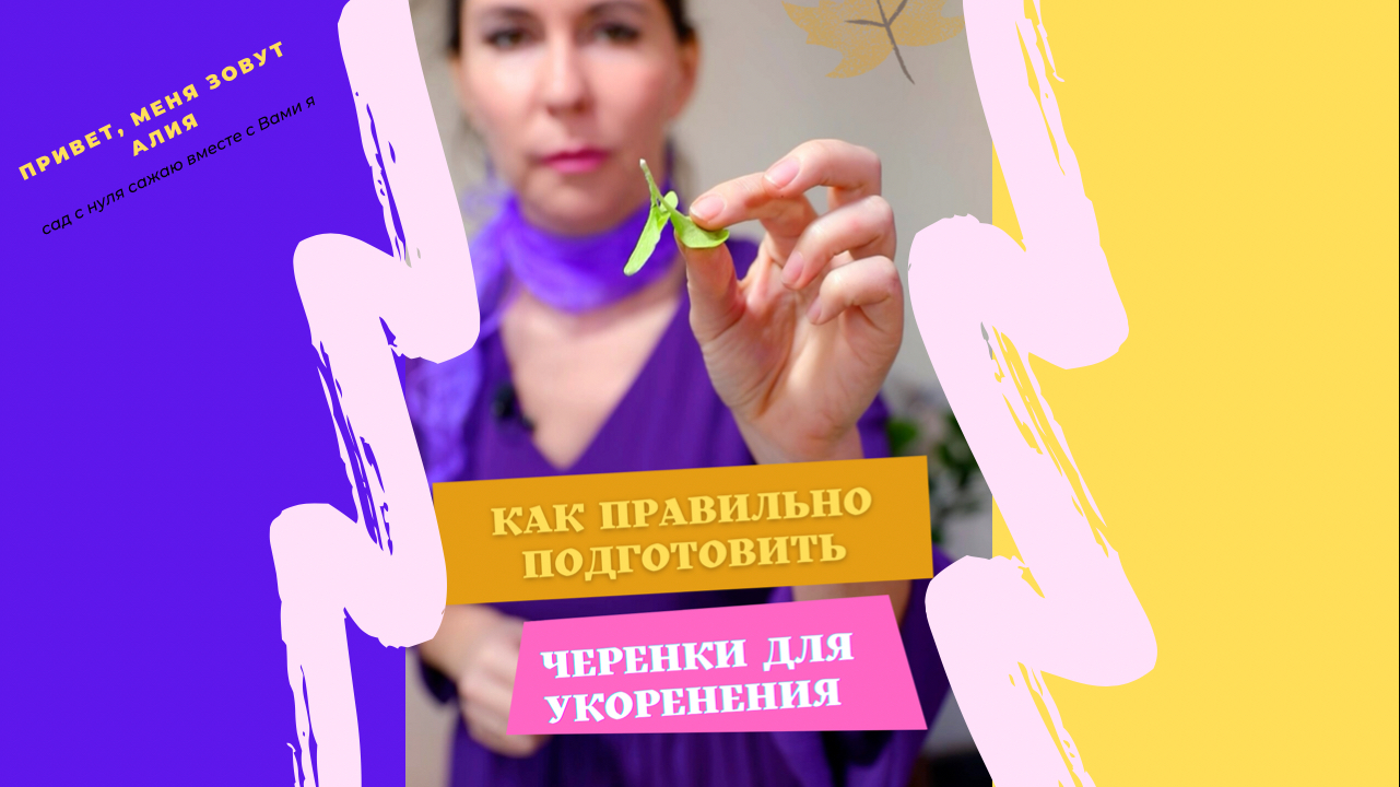 Как правильно подготовить черенки для укоренения