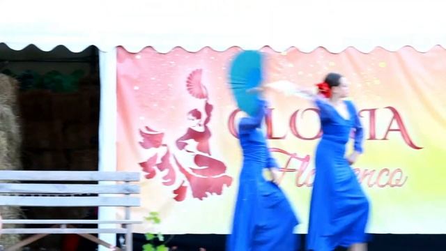 «Глория-Фламенко» Eco Resort Butuceni Part 4 смотреть онлайн