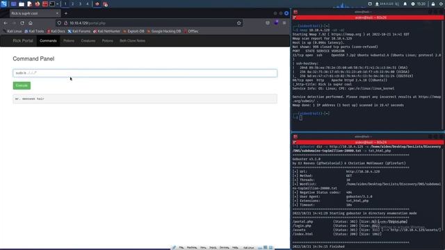 TryHackMe Pickle Rick CTF Walkthrough смотреть онлайн
