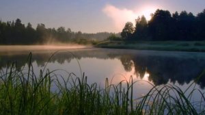 "Ностальгия"...(сл. и муз. Евгений РОСС)