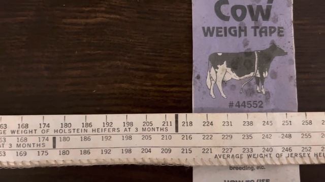 Вес тёлочки Голштина и Джерсейки в 3 и 6 месяцев. Канадские стандарты смотреть онлайн
