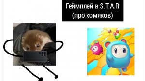 Геймплей в S.T.A.R (про хомяков)