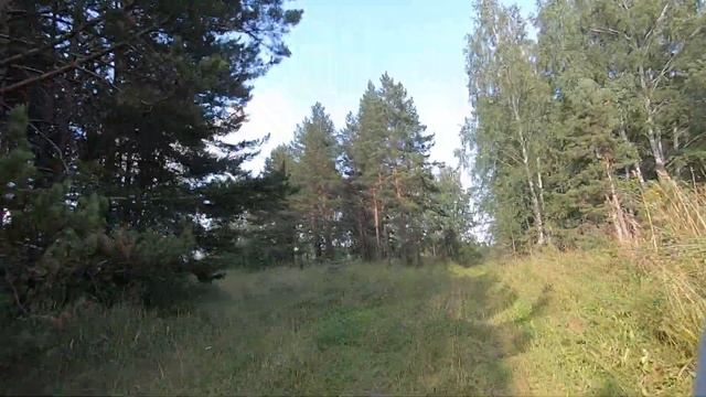 мото выезд 26.08.19 катаем по лесу...Yamaha TTR 250 смотреть онлайн