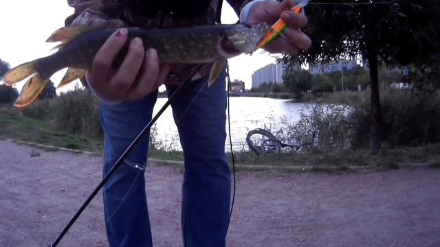 ночная рыбалка на щуку смотреть онлайн