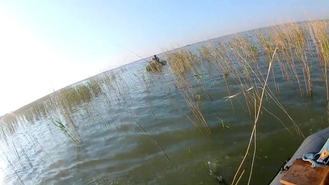 КАРП, РЫБАЛКА С НОЧЕВКОЙ НА ОЗЕРЕ ДИЕВКА, ЛОВИМ У КАМЫШЕЙ НА ЛЕТНИЕ УДОЧКИ! РЫБАЛКА В КАЗАХСТАНЕ! смотреть онлайн