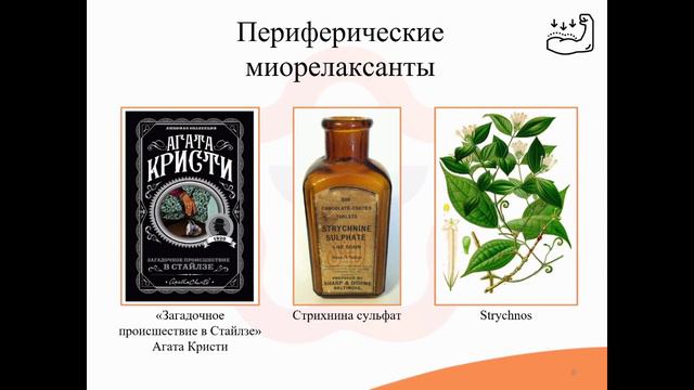 4.8. Н-холинолитики (Н-холиноблокаторы) смотреть онлайн