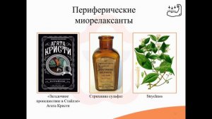 4.8. Н-холинолитики (Н-холиноблокаторы)