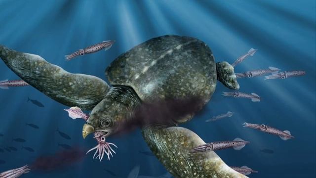 LARGEST TURTLE EVER! ARCHELON