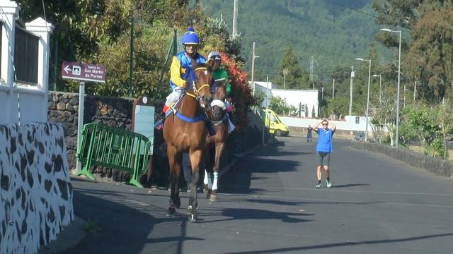 Carreras de caballos La Palma Ecuestre 2022 desde el municipio de El Paso смотреть онлайн