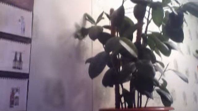 в чем здесь смысл ? смотреть онлайн